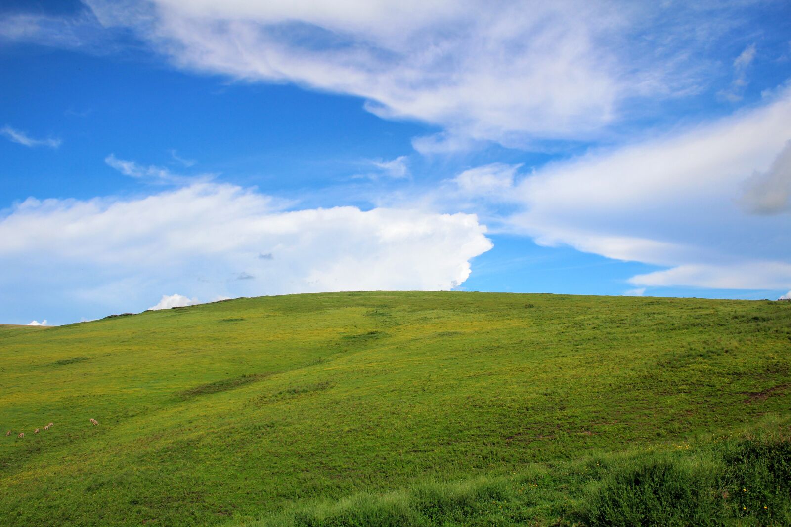Canon EOS 1200D (EOS Rebel T5 / EOS Kiss X70 / EOS Hi) sample photo. Ngorongoro, tanzania, clouds photography