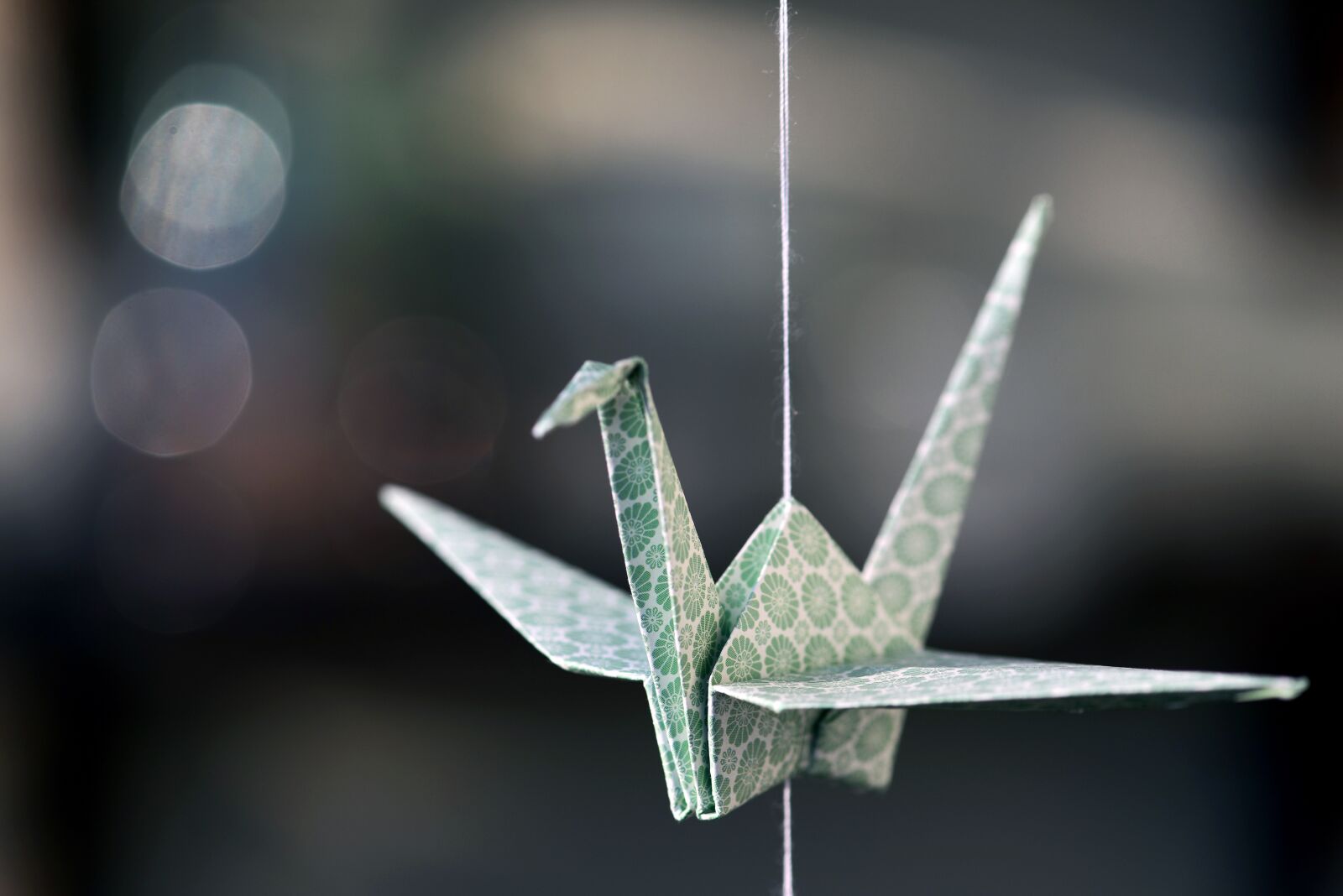 Nikon D800 sample photo. Origami, crane, paper photography