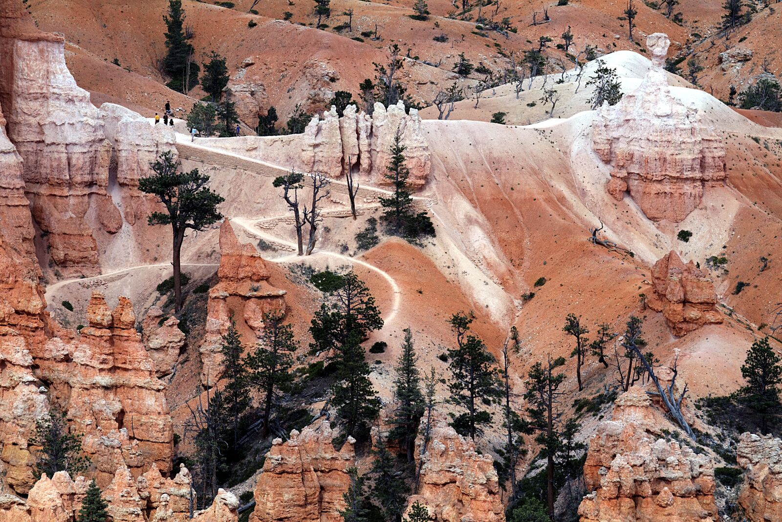 Canon EOS 7D sample photo. Bryce canyon, paunsaugunt plateau photography
