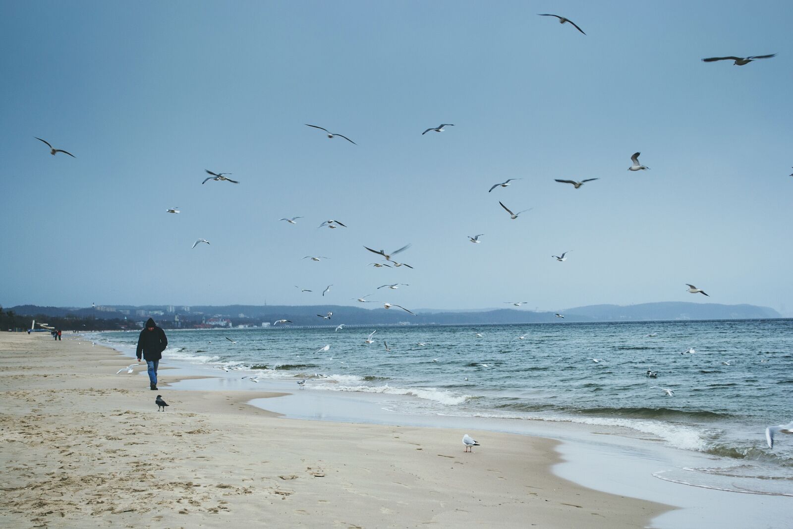 Nikon D3100 sample photo. Nature, baltic sea, beach photography