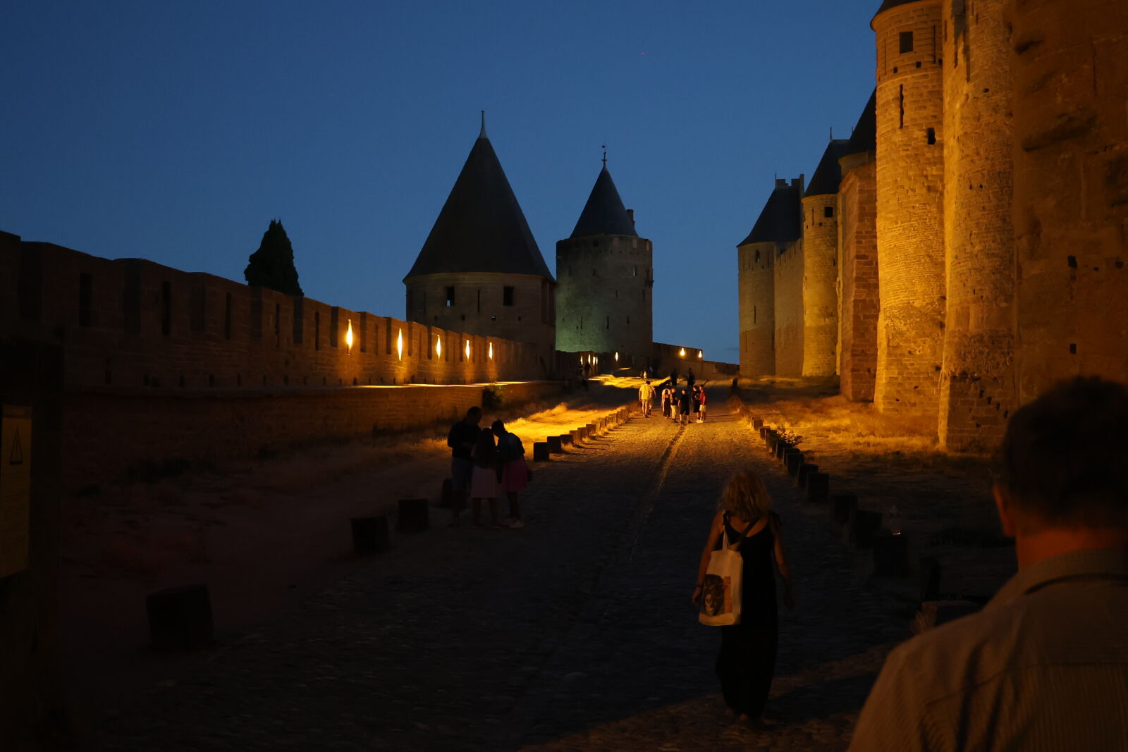 Canon EOS R8 sample photo. Carcassonne photography