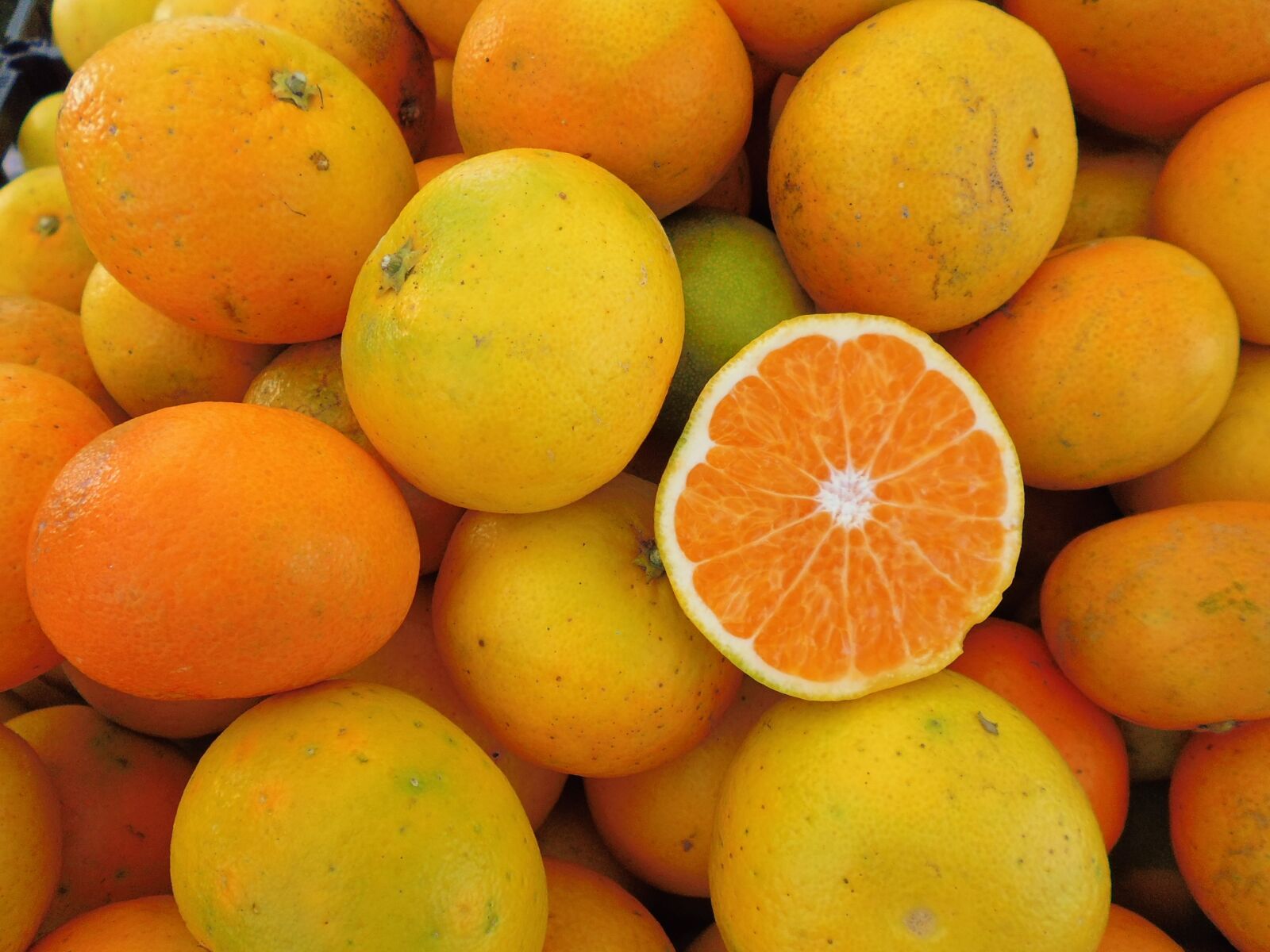 Panasonic DMC-XS1 sample photo. Orange, fruit, organic photography