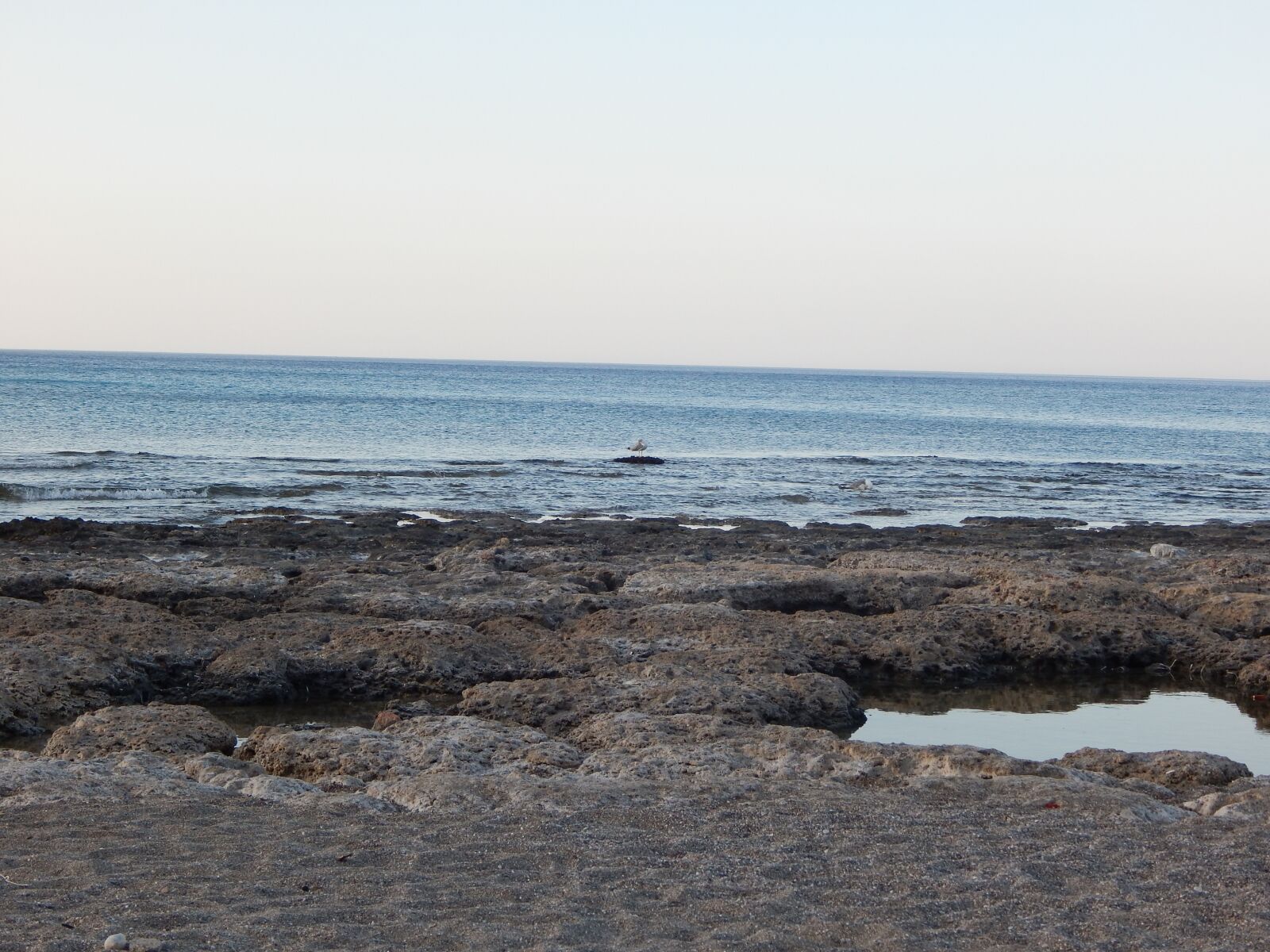 Nikon Coolpix L830 sample photo. Sea, beach, summer photography