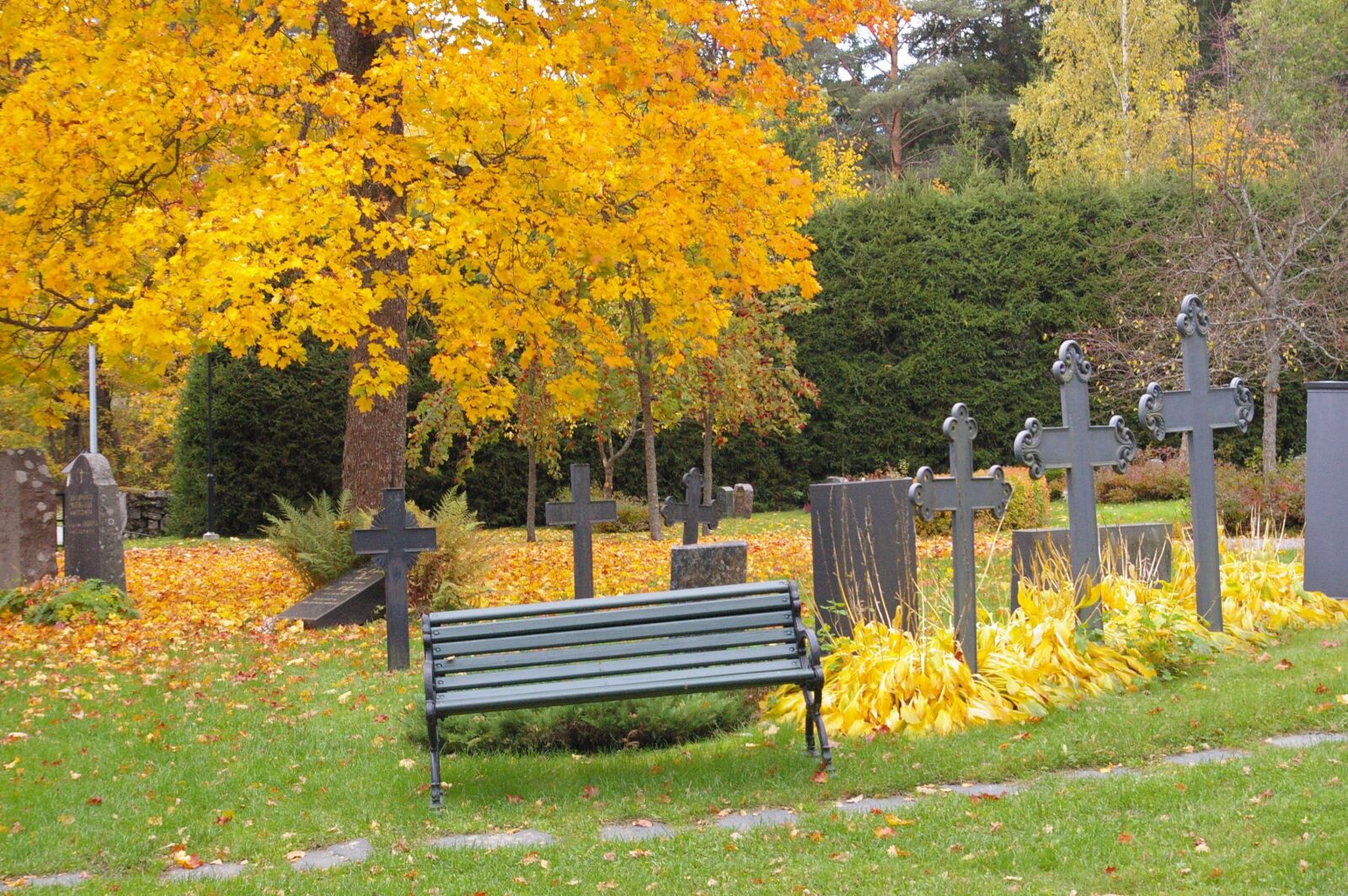 Pentax K110D sample photo. Cemetery, autumn, grave photography