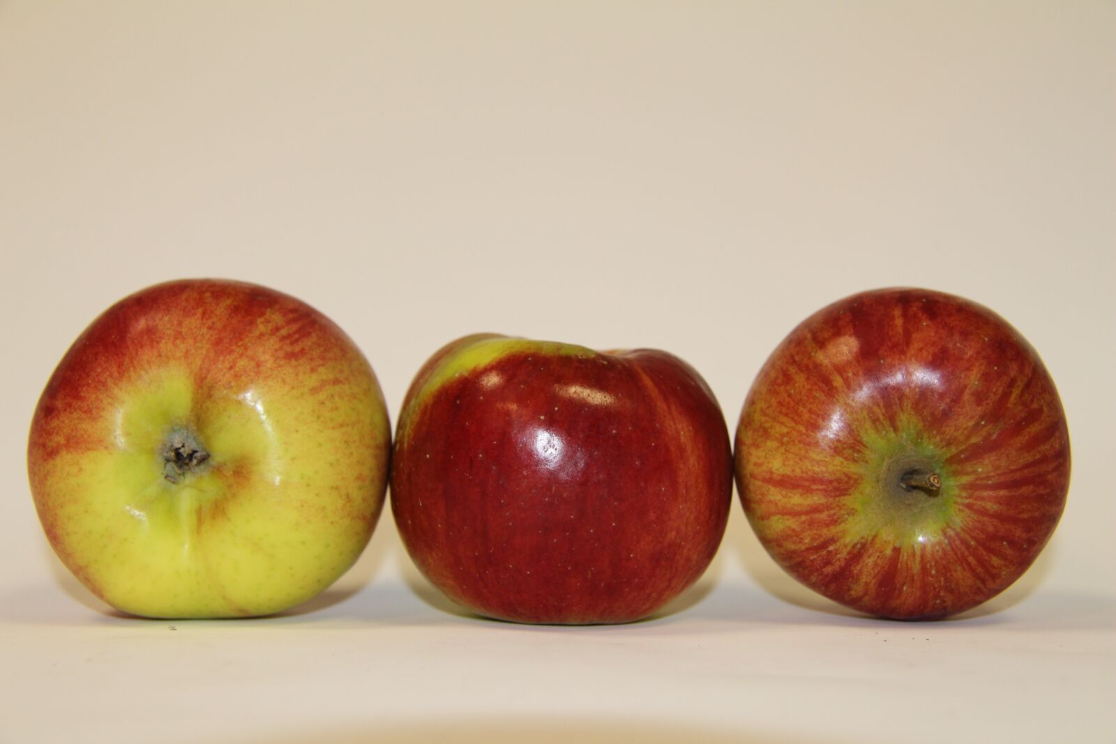 Canon EF-S 17-85mm F4-5.6 IS USM sample photo. Fruit, apple, garden photography