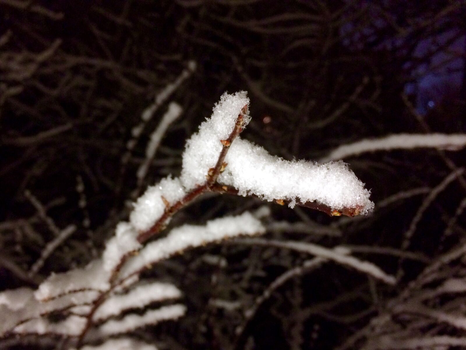iPhone 5s back camera 4.15mm f/2.2 sample photo. Snow, winter photography