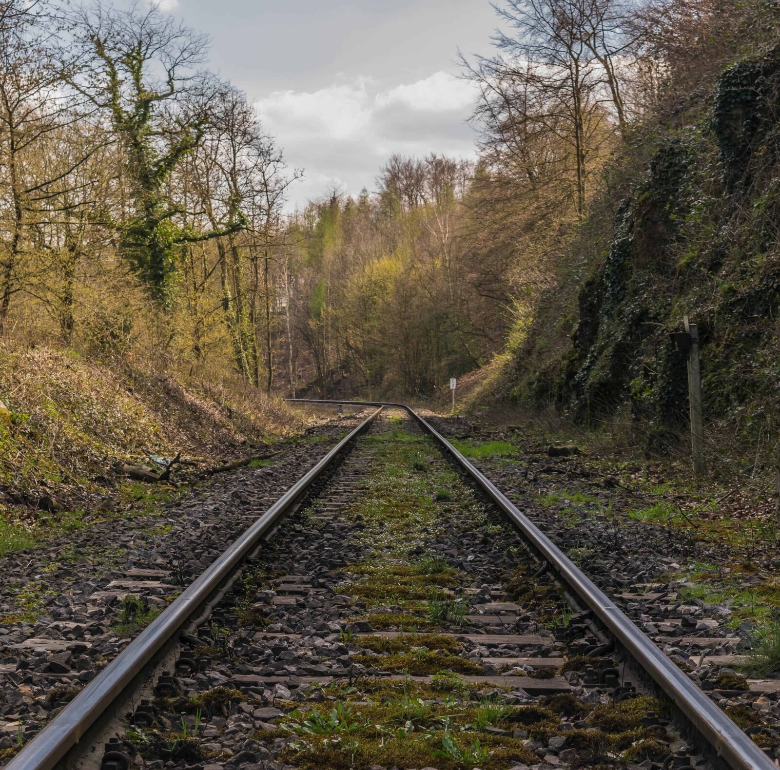 Nikon D3300 sample photo. Railway, perspective, outdoor, daylight photography