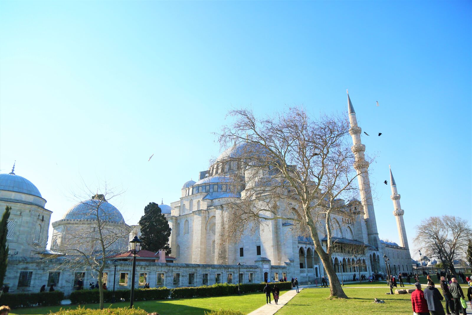 Canon EOS 5D Mark III sample photo. Süleymaniye, cami, istanbul photography