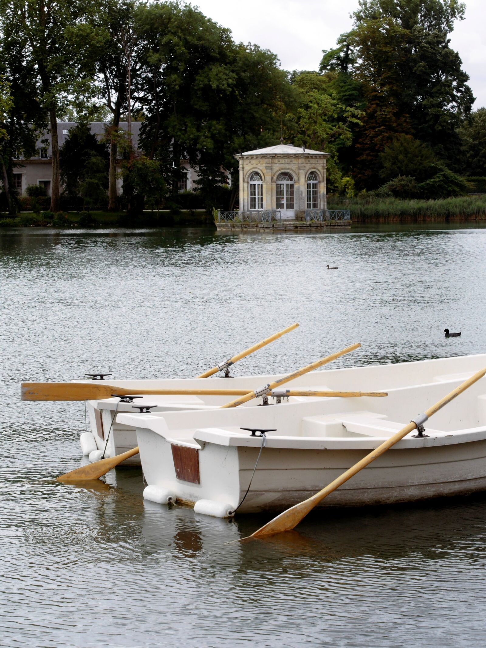JK KODAK PIXPRO S-1 sample photo. Fontainebleau, france, lake photography