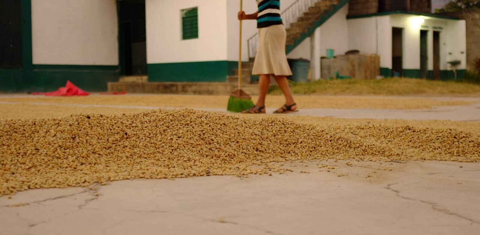 Fujifilm FinePix X100 sample photo. Pulped natural, semi-dry, honey photography