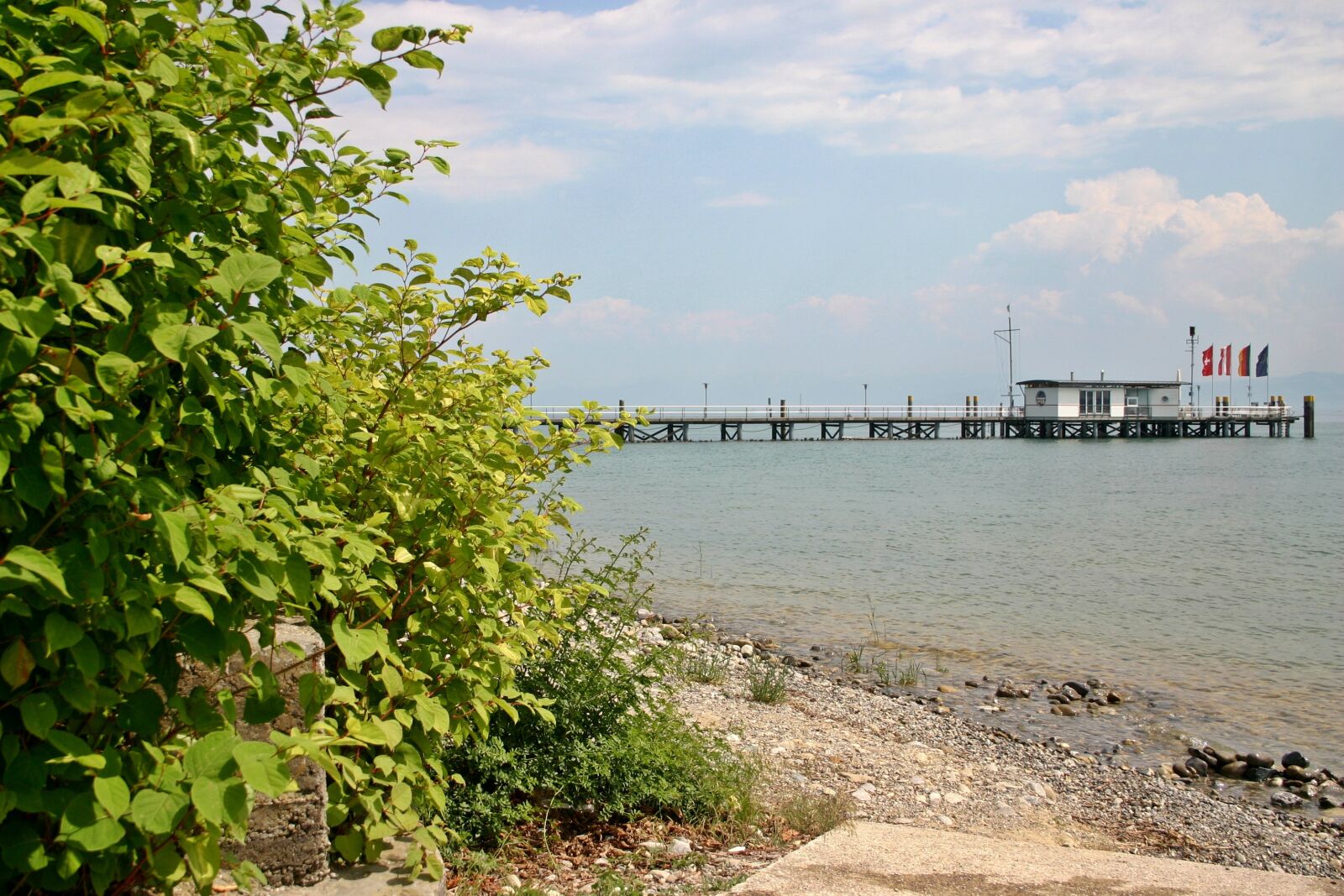 Canon EOS 300D (EOS Digital Rebel / EOS Kiss Digital) sample photo. Lake constance, bank, lake photography