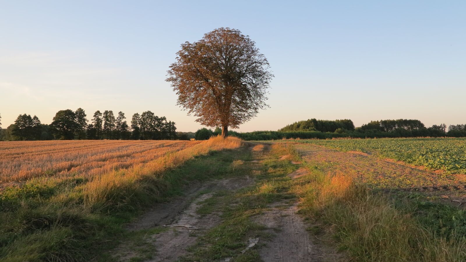 Canon PowerShot G1 X sample photo. End of summer, autumn photography