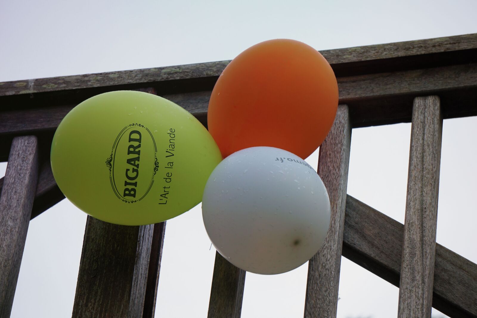Sony E 55-210mm F4.5-6.3 OSS sample photo. Air, ballons, couleurs, enfants photography