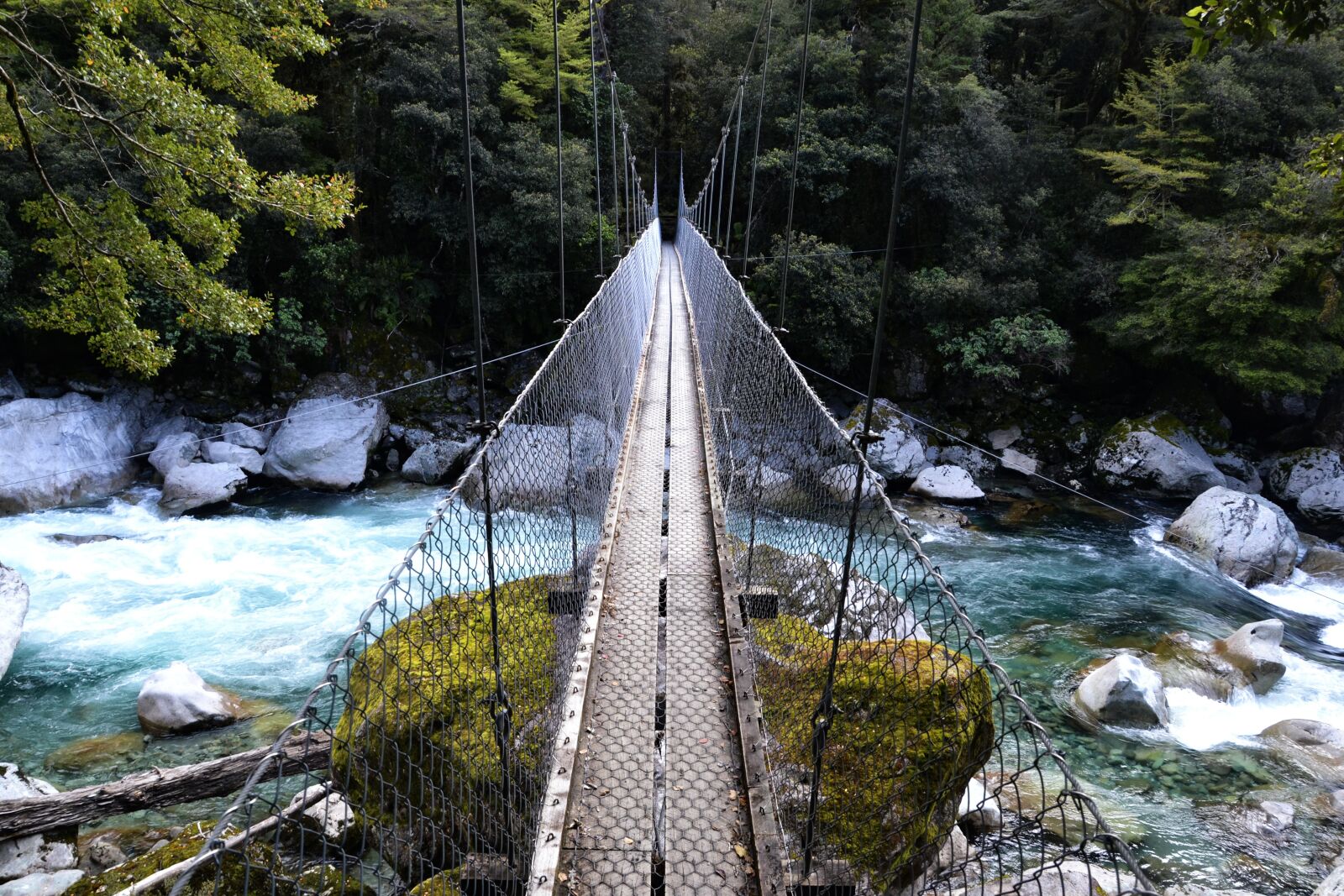 Nikon D3100 sample photo. Bridge, new zealand, water photography
