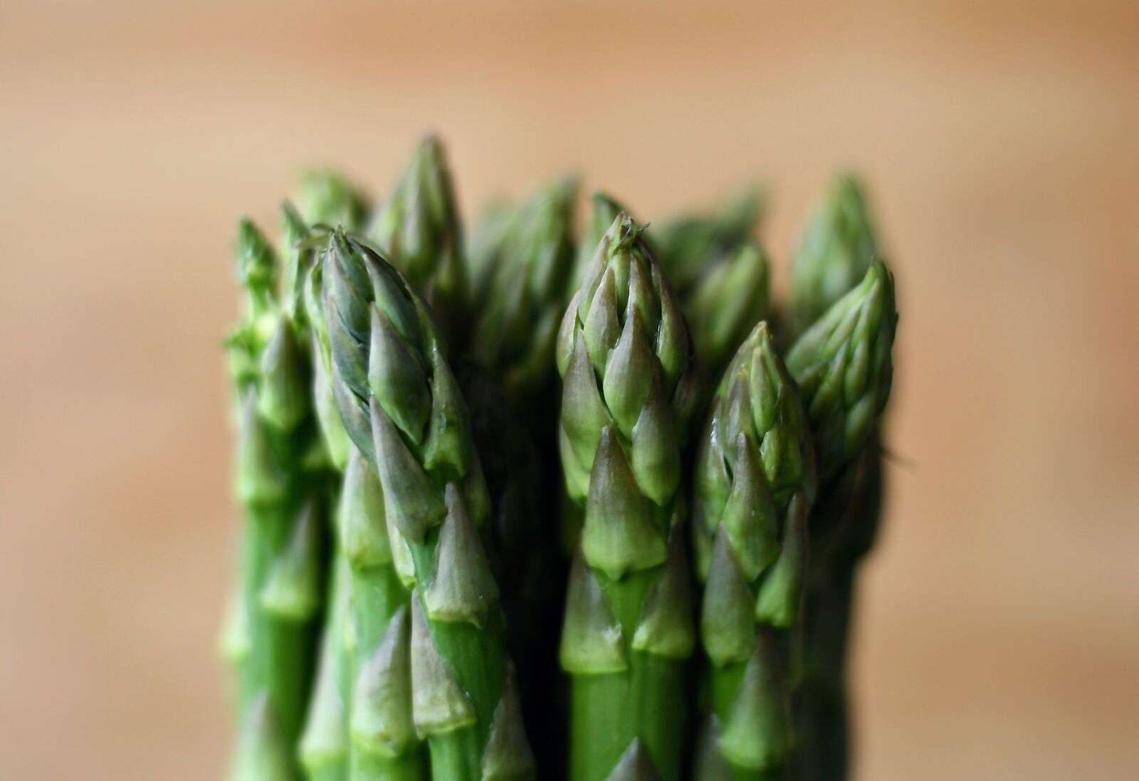 Canon EOS 1000D (EOS Digital Rebel XS / EOS Kiss F) sample photo. Asparagus, vegetable, green photography
