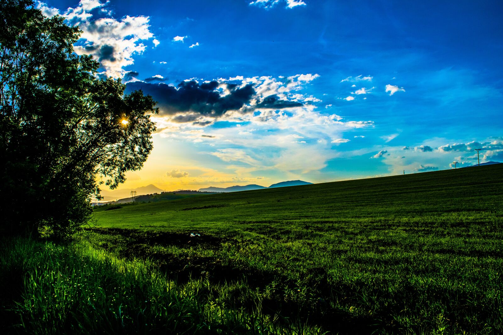 Nikon D3300 sample photo. Sun, sunset, orange sky photography