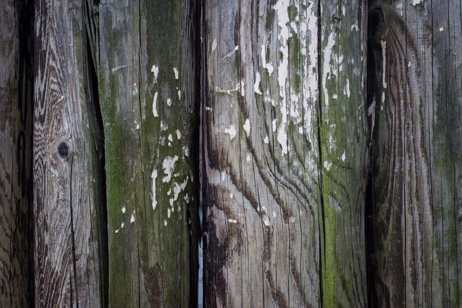 Canon EOS 700D (EOS Rebel T5i / EOS Kiss X7i) + Canon EF 50mm F1.8 STM sample photo. Wooden fence, wood, barrier photography