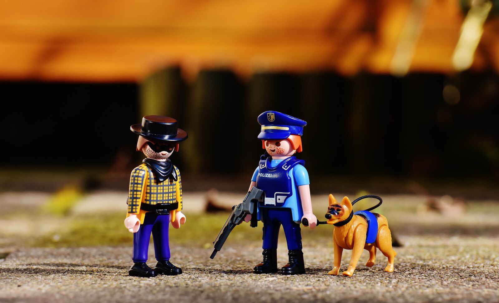 Nikon D7200 sample photo. Police, crooks, criminal photography