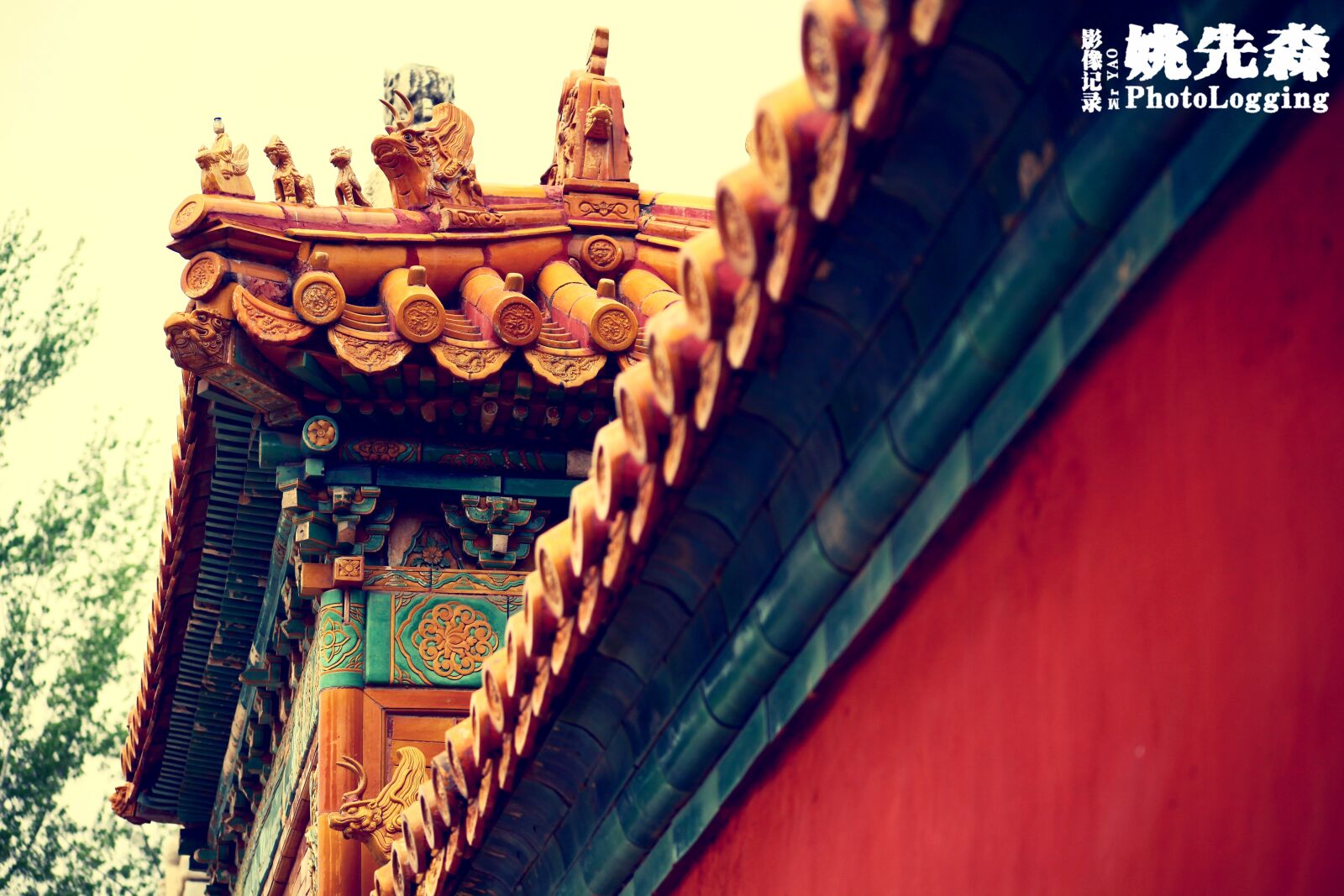 Canon EOS 5D Mark II sample photo. Tourism, qing xiling, shadow photography
