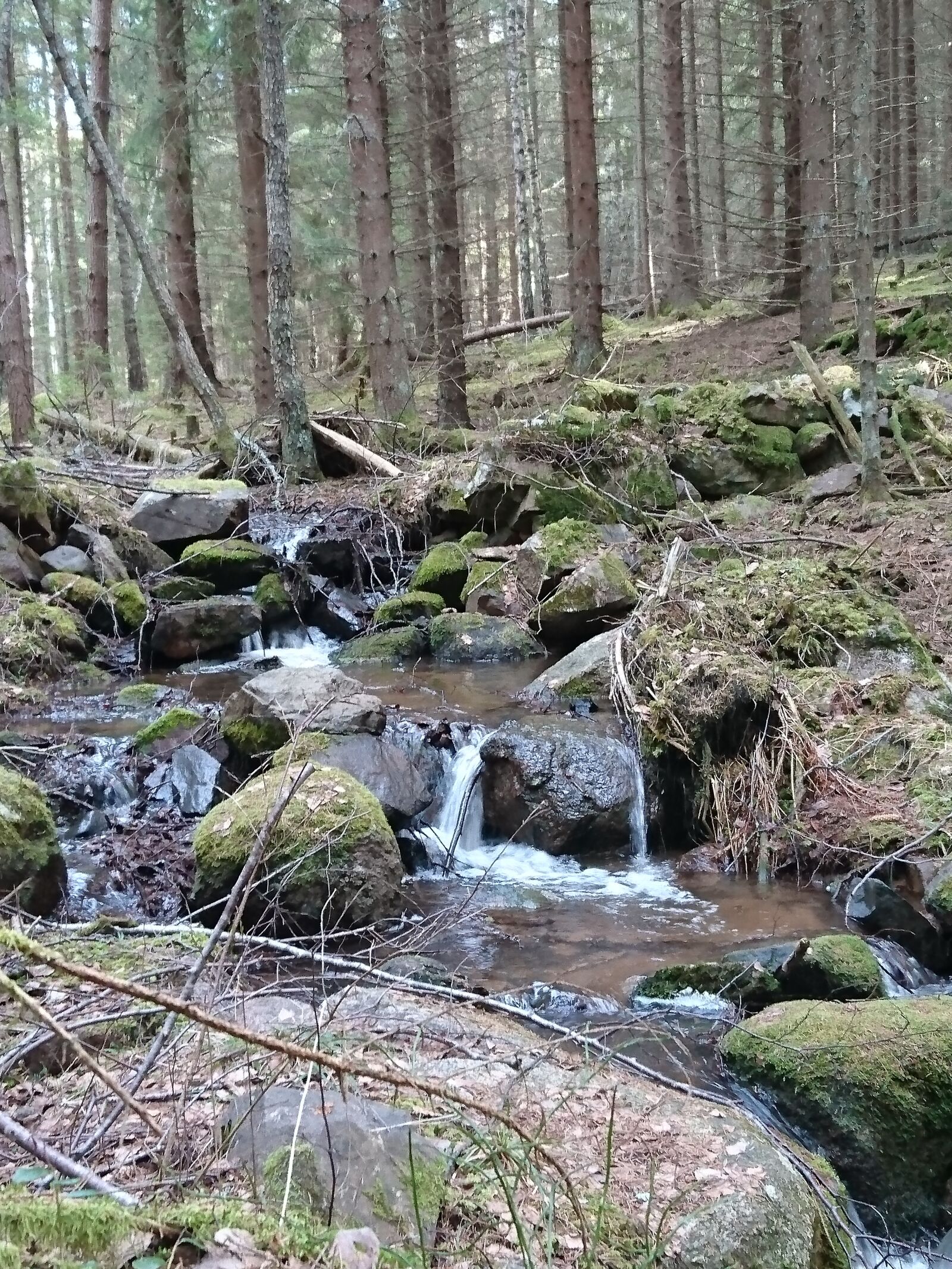 Sony Xperia Z5 sample photo. Spring, brook, water photography