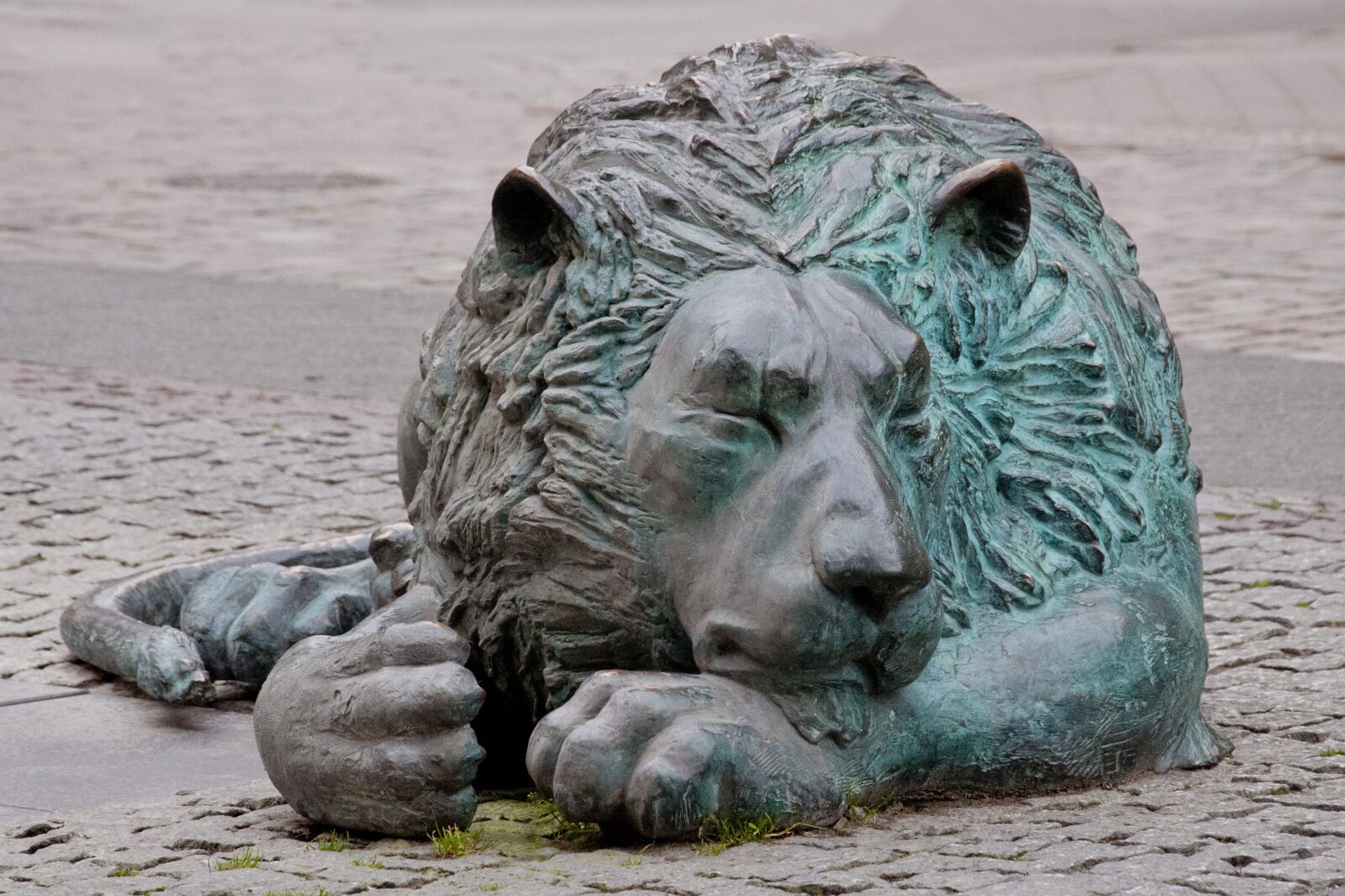 Nikon D90 sample photo. Lion gdansk, gda sk photography