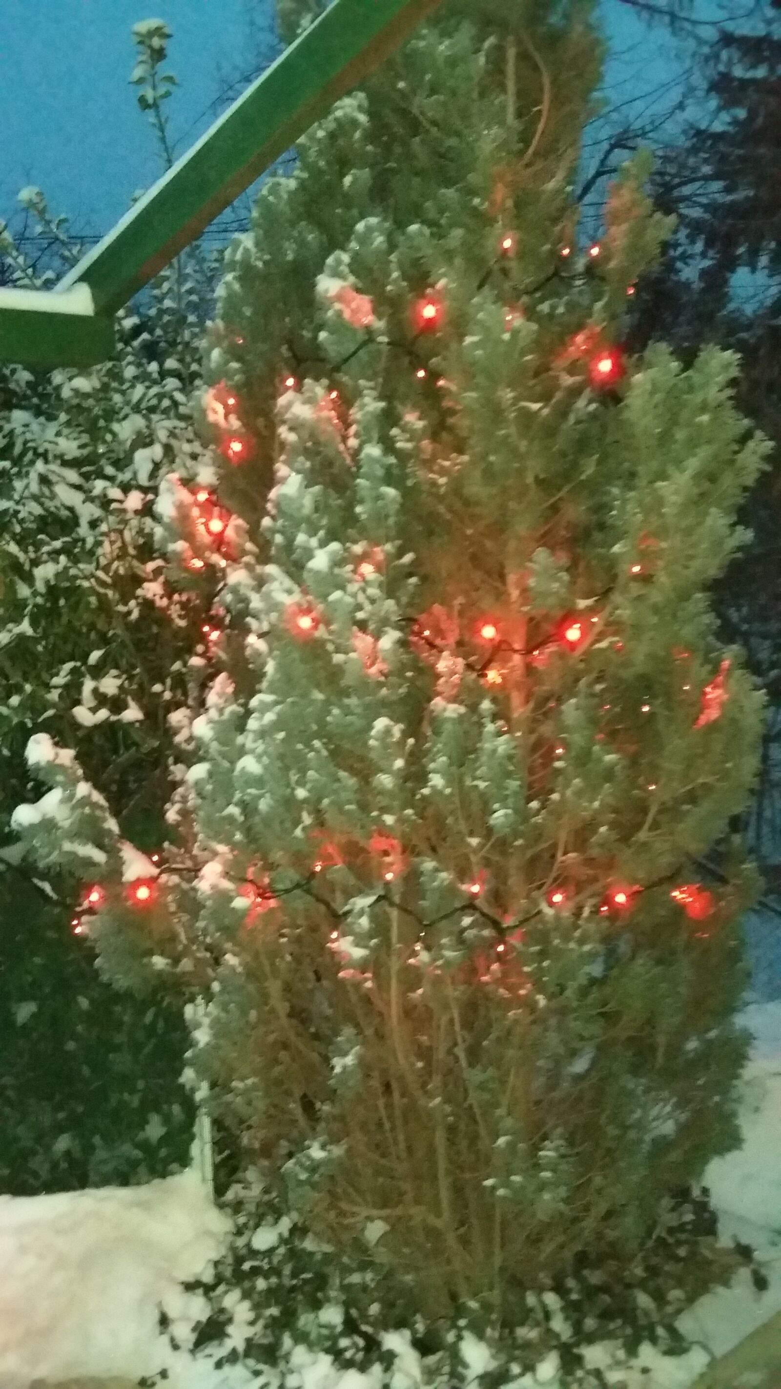 Samsung Galaxy A3 sample photo. Christmas, lights, garden photography