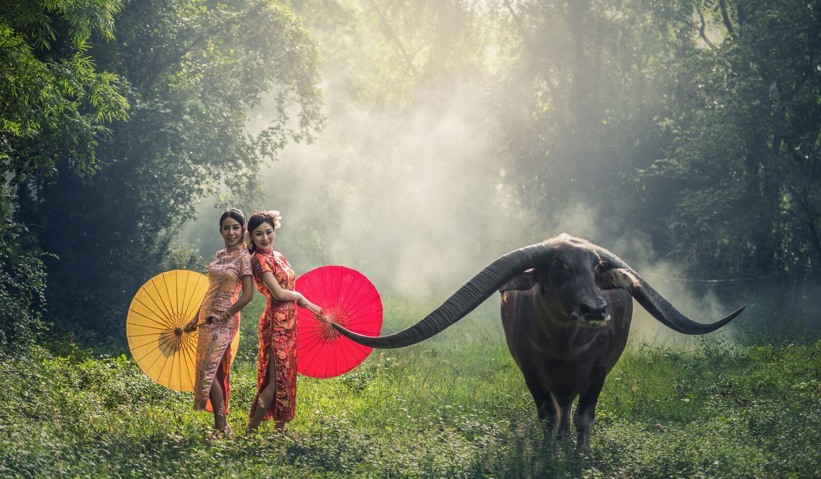 Nikon D810 sample photo. Lady, buffalo, asia photography