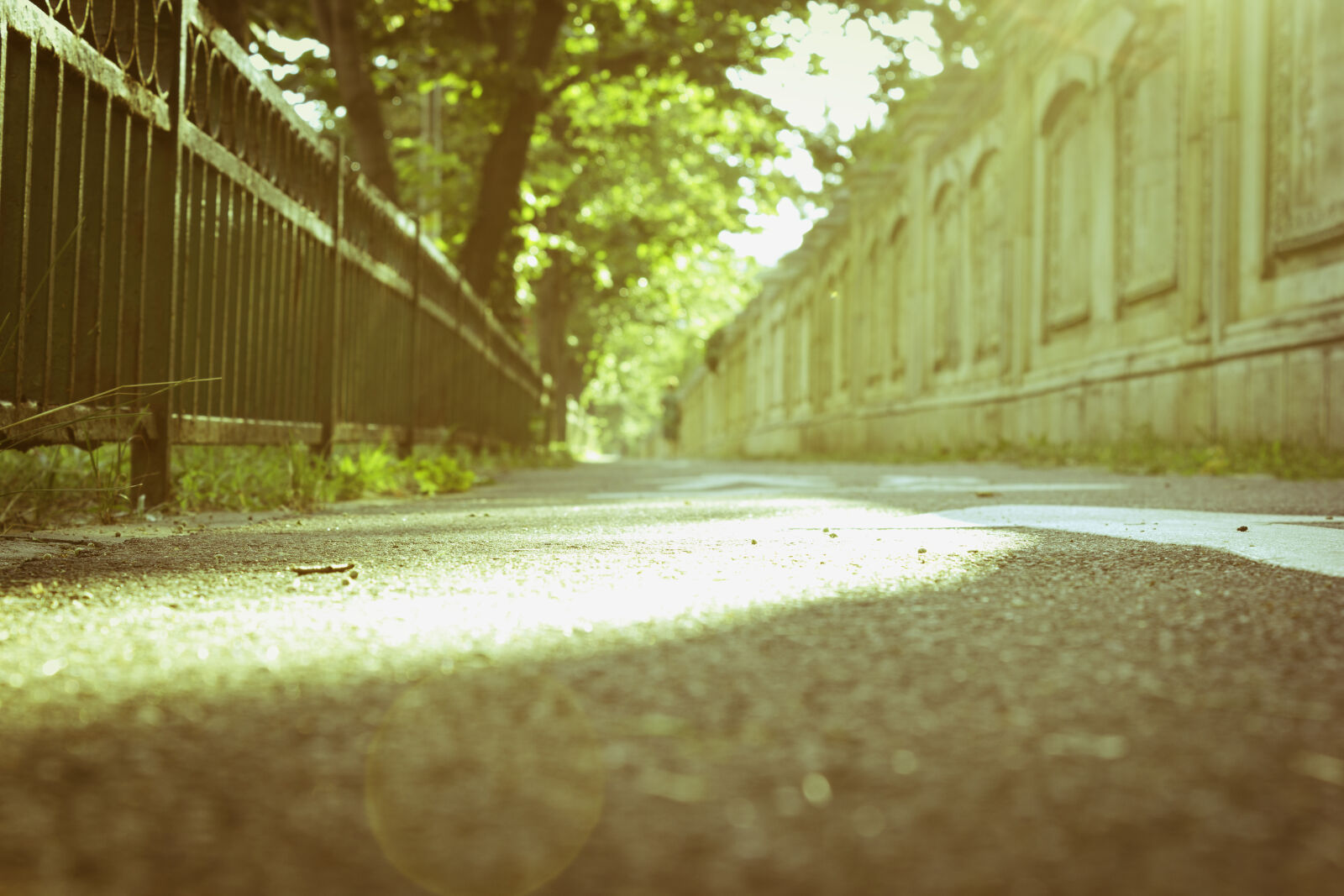 Canon EOS 550D (EOS Rebel T2i / EOS Kiss X4) sample photo. Asphalt, bucharest, fense, street photography