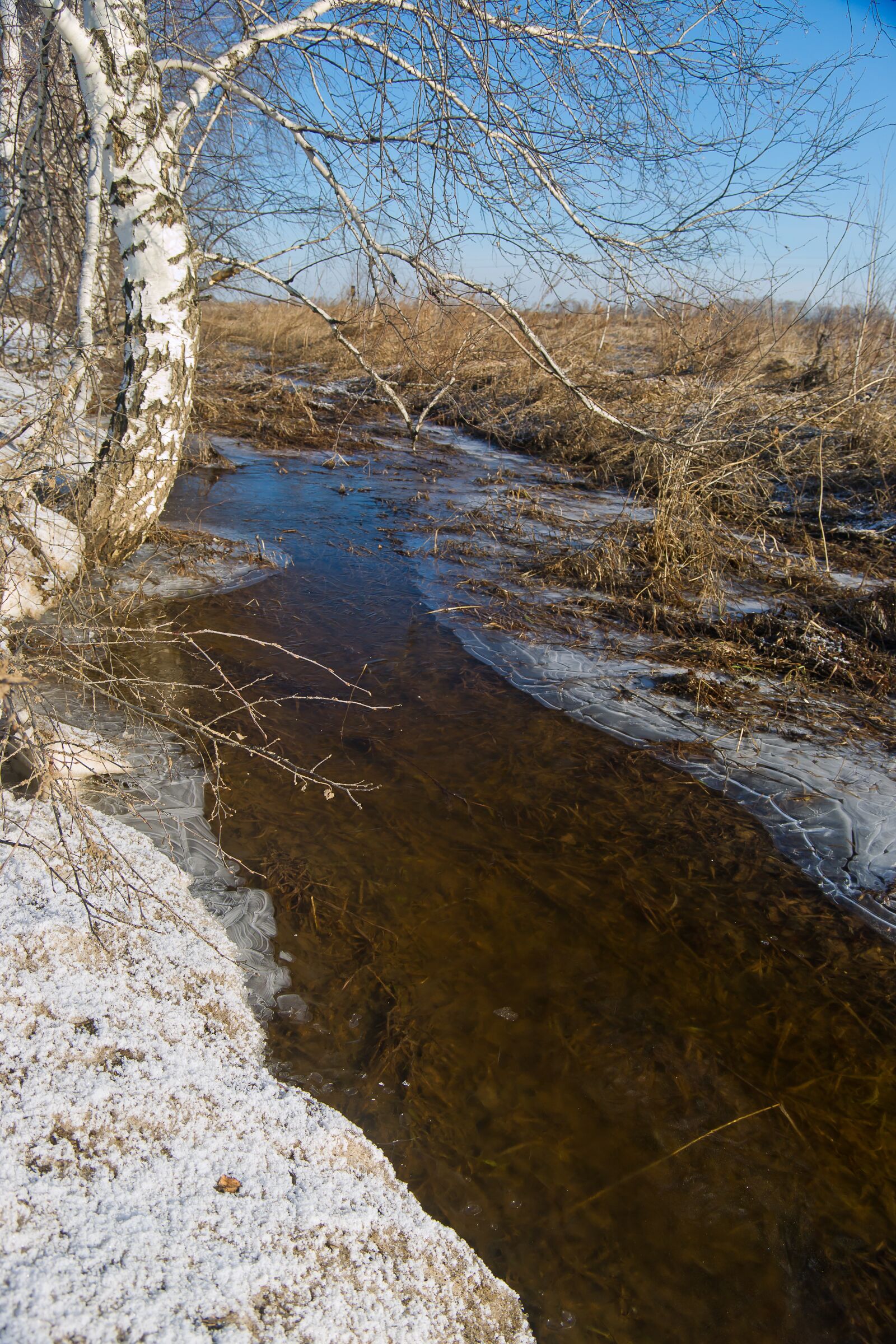 Sony Alpha DSLR-A850 sample photo. Natural, water, nature photography