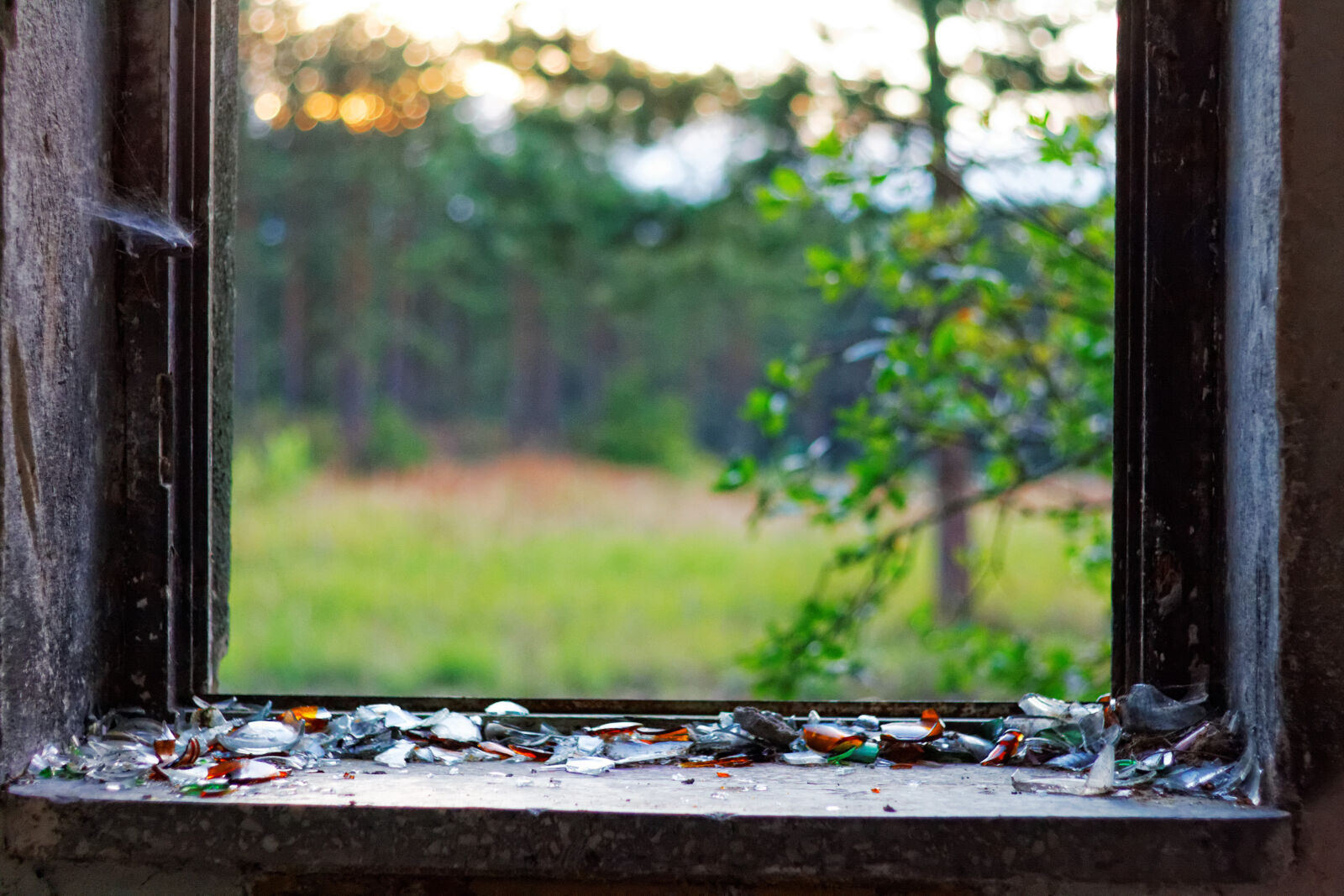 Canon EF 50mm F1.8 II sample photo. Glass, window photography