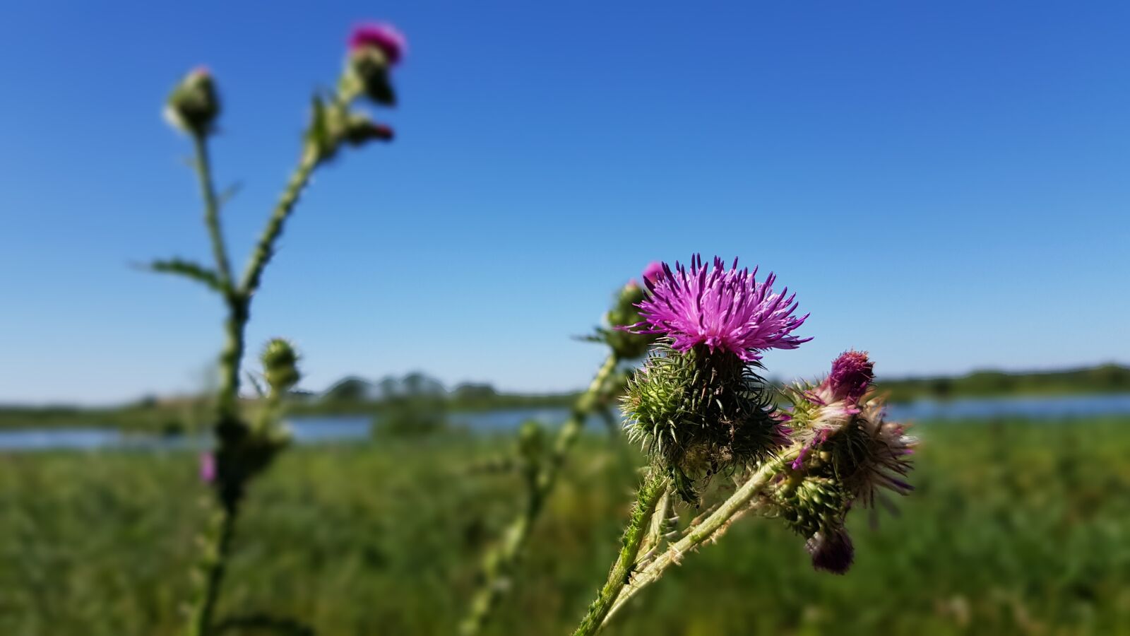 Samsung Galaxy S8 sample photo. Beginning of summer, breathe photography