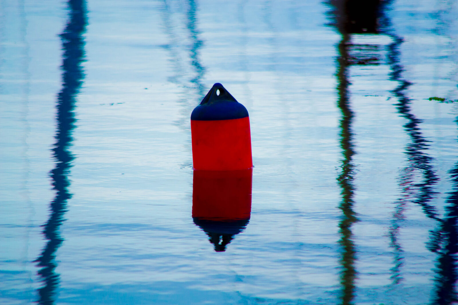 Nikon D3100 sample photo. Art, nature, water photography