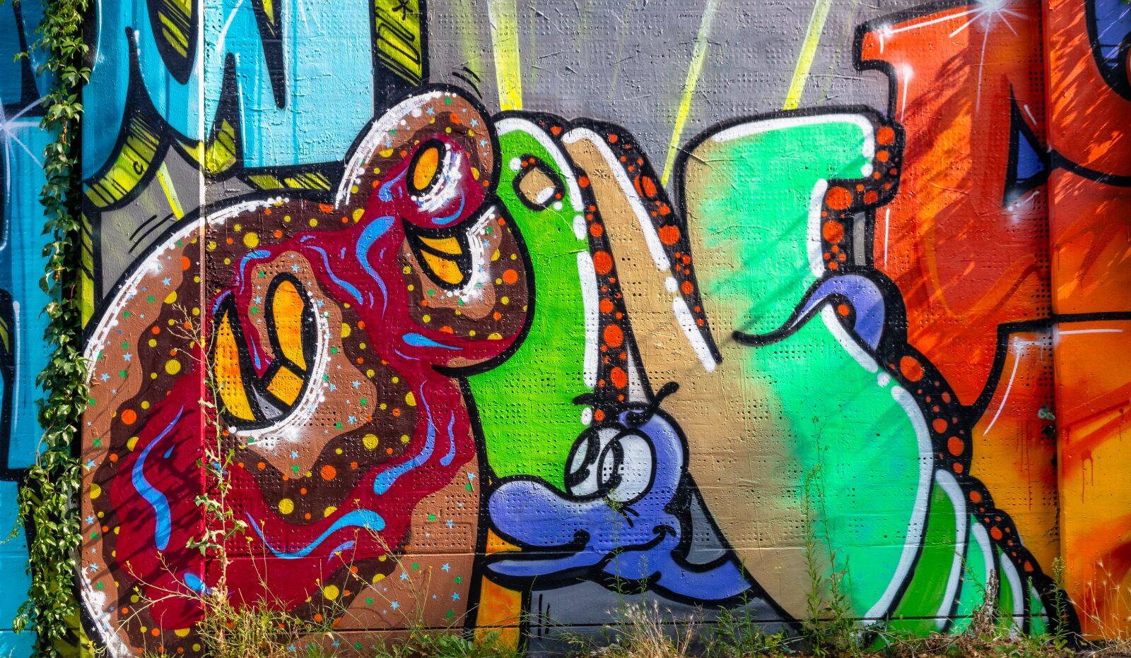 Canon EOS 80D sample photo. Grafitti, image, spray photography