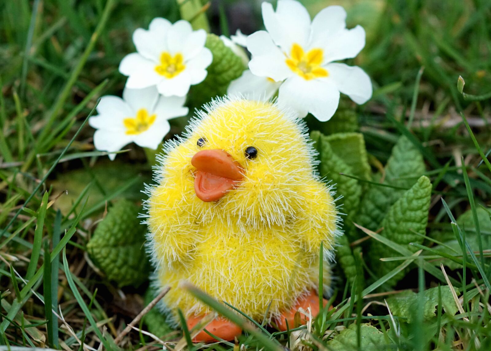 Tamron SP AF 90mm F2.8 Di Macro sample photo. Easter, chicks, easter decoration photography