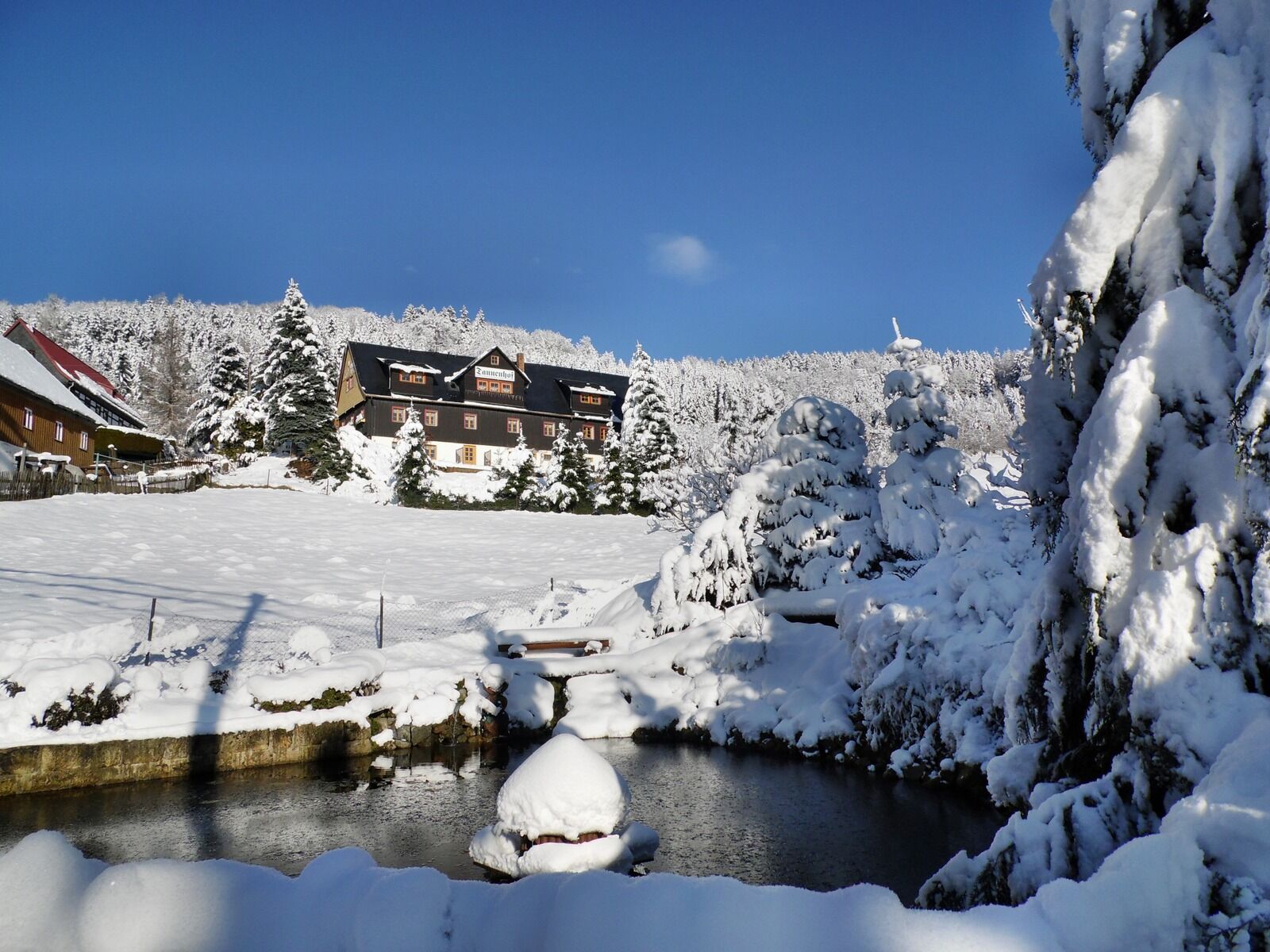 Samsung WB100/  WB101 sample photo. Tannenhof, winter, pond photography
