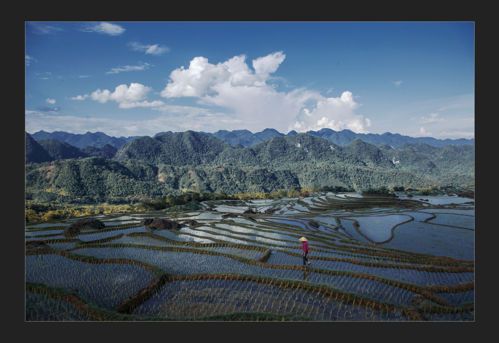 Canon EOS 6D + Canon EF 24-105mm F4L IS USM sample photo. Photo landscape, life, vietnam photography