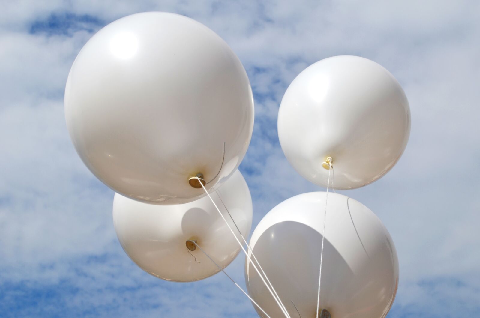 Nikon D5100 sample photo. Sky, wedding, balloon photography