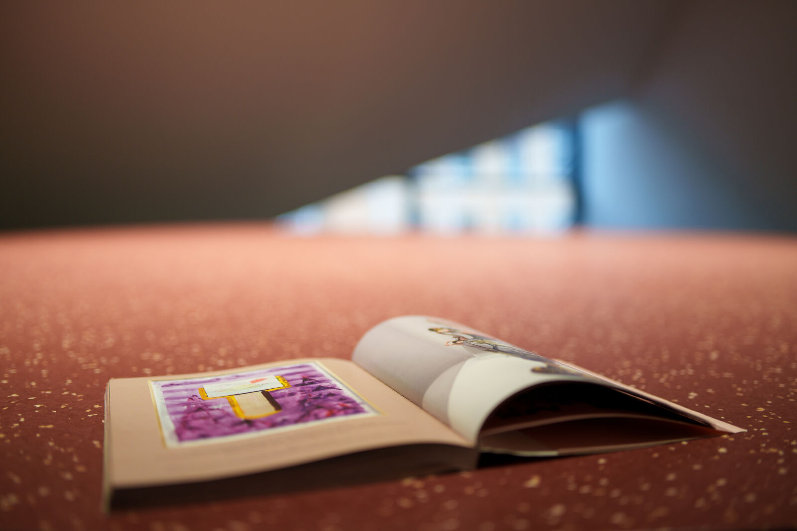 Samyang AF 35mm F1.4 P sample photo. Book for exhibition photography