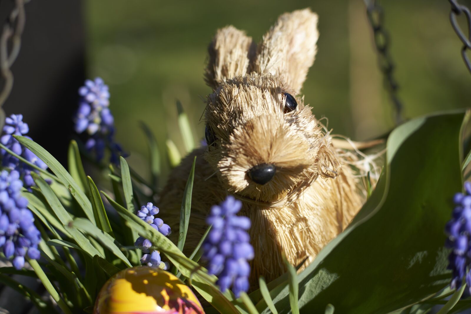 Sony 85mm F2.8 SAM sample photo. Easter image, easter, easter photography