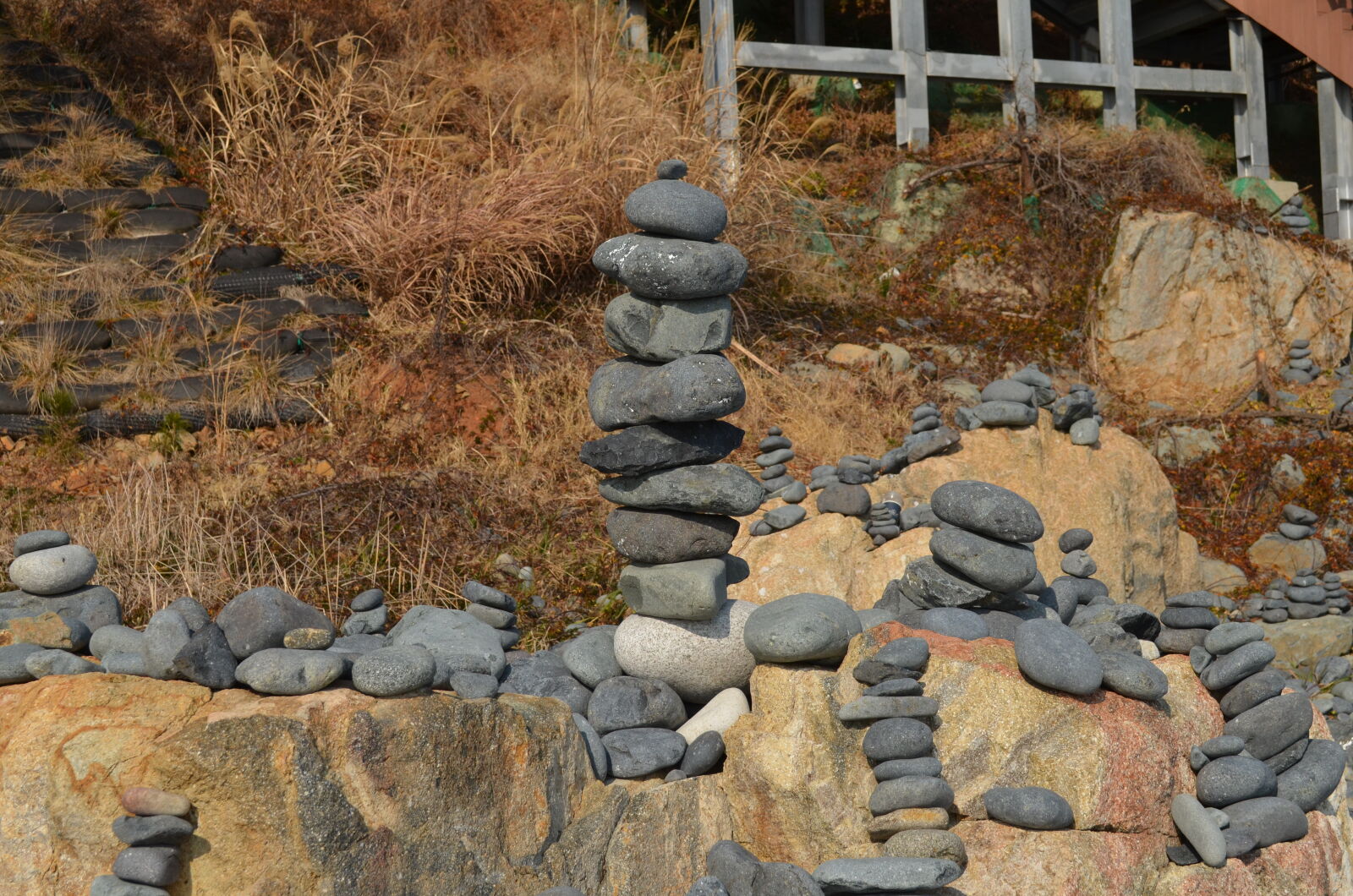 Nikon D5100 sample photo
