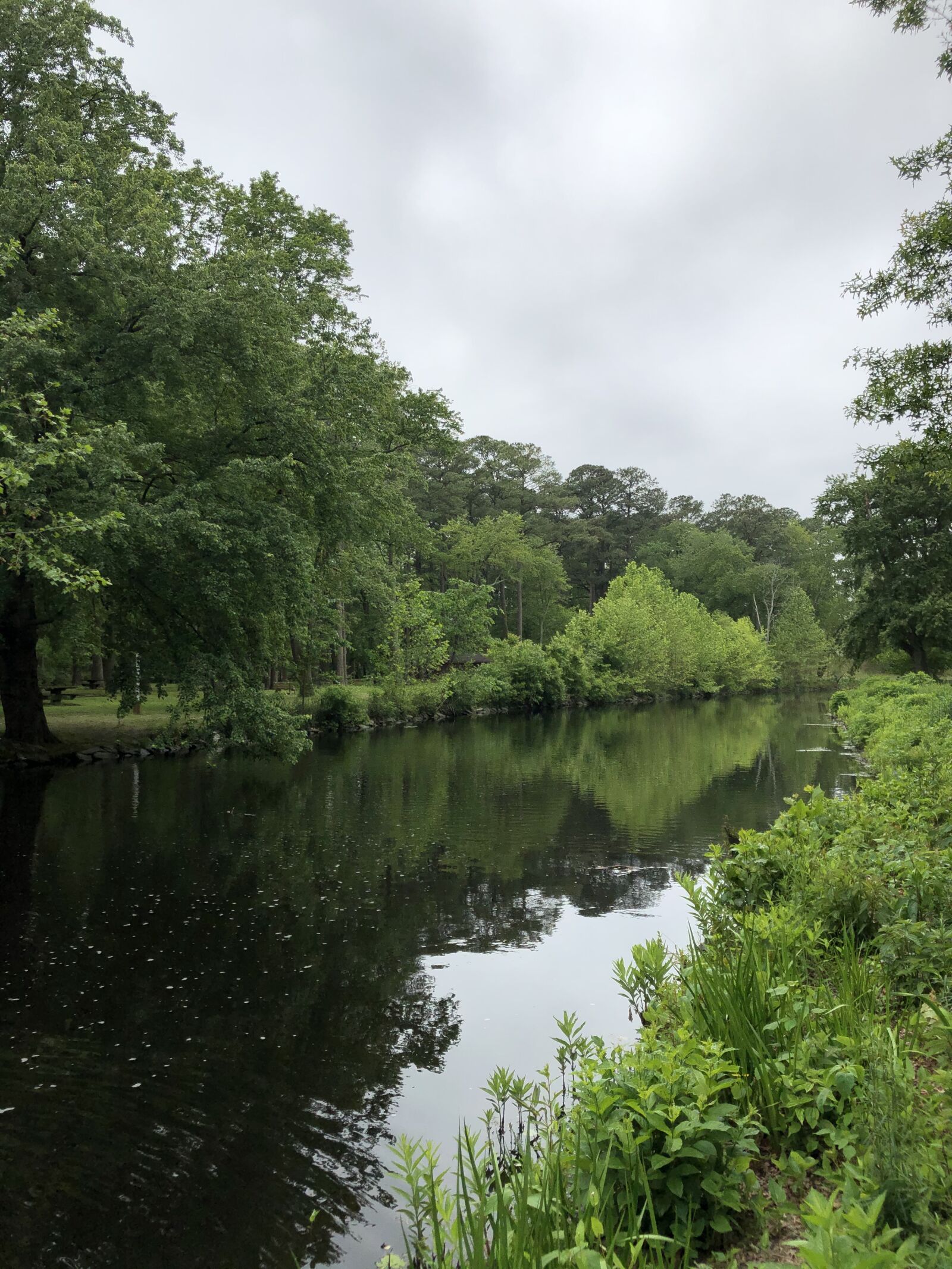 iPhone 8 Plus back dual camera 3.99mm f/1.8 sample photo. River, creek, stream photography