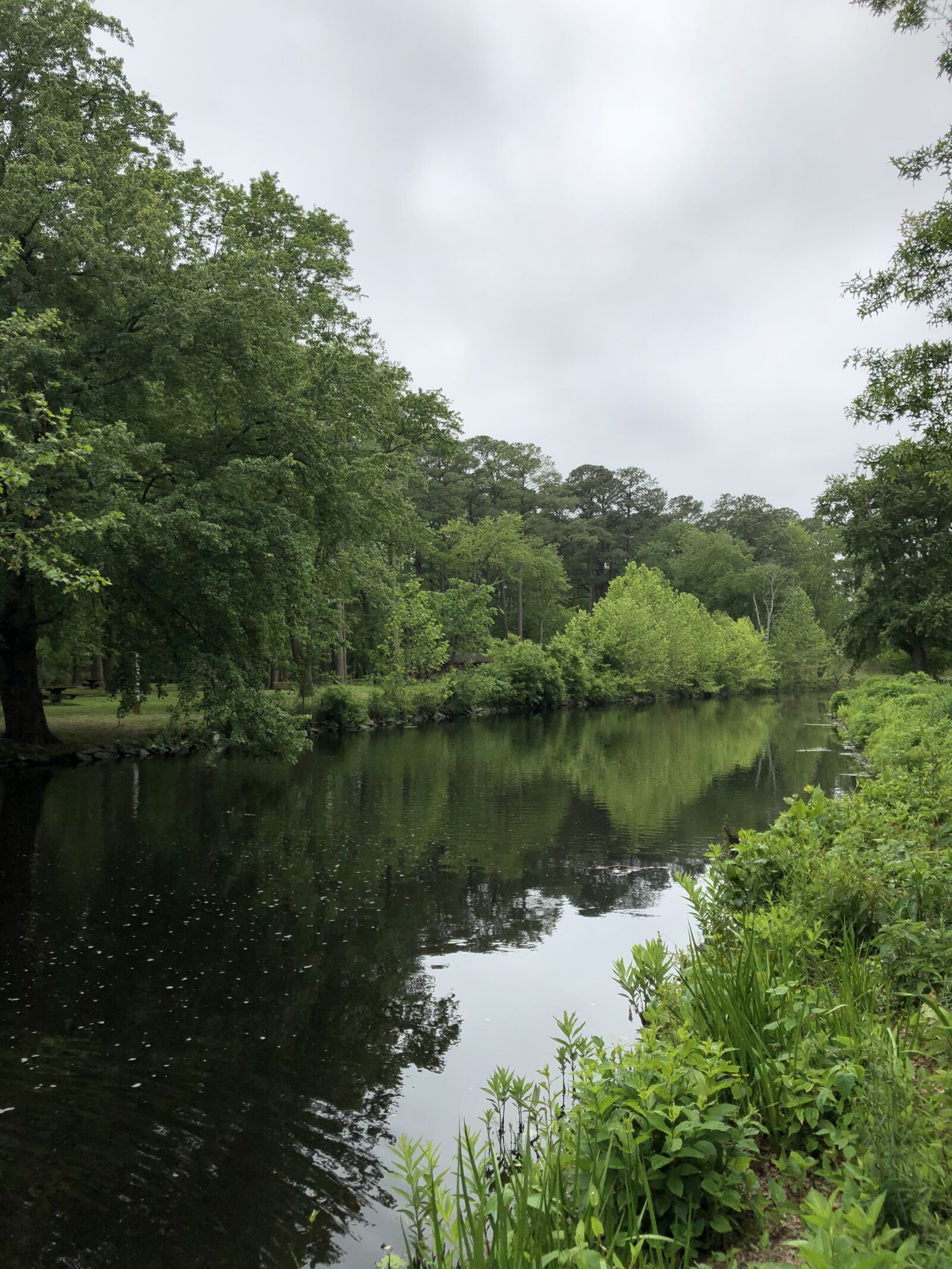 Apple iPhone 8 Plus sample photo. River, creek, stream photography