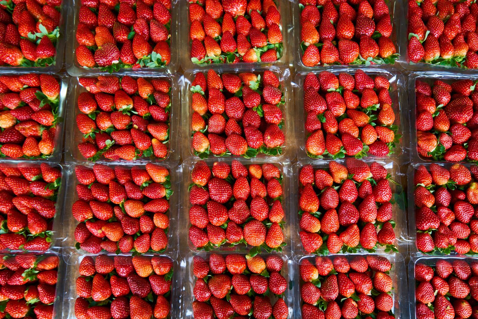 Sony a7R II sample photo. Strawberry, fruit, fresh photography