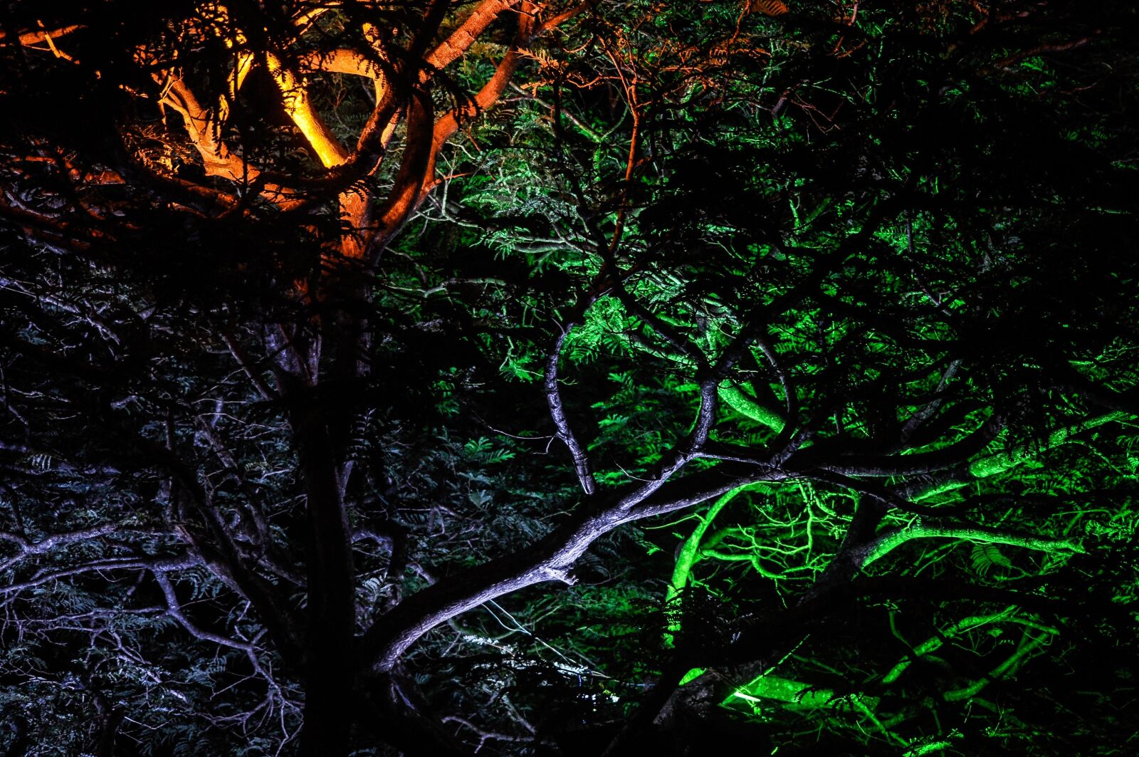 Nikon D90 sample photo. Nature, nature lovers, nature photography