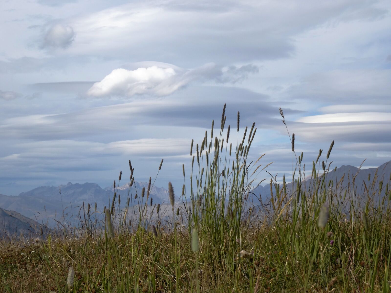 Sony DSC-HX50 sample photo. Mountain scenery, crazy herbs photography