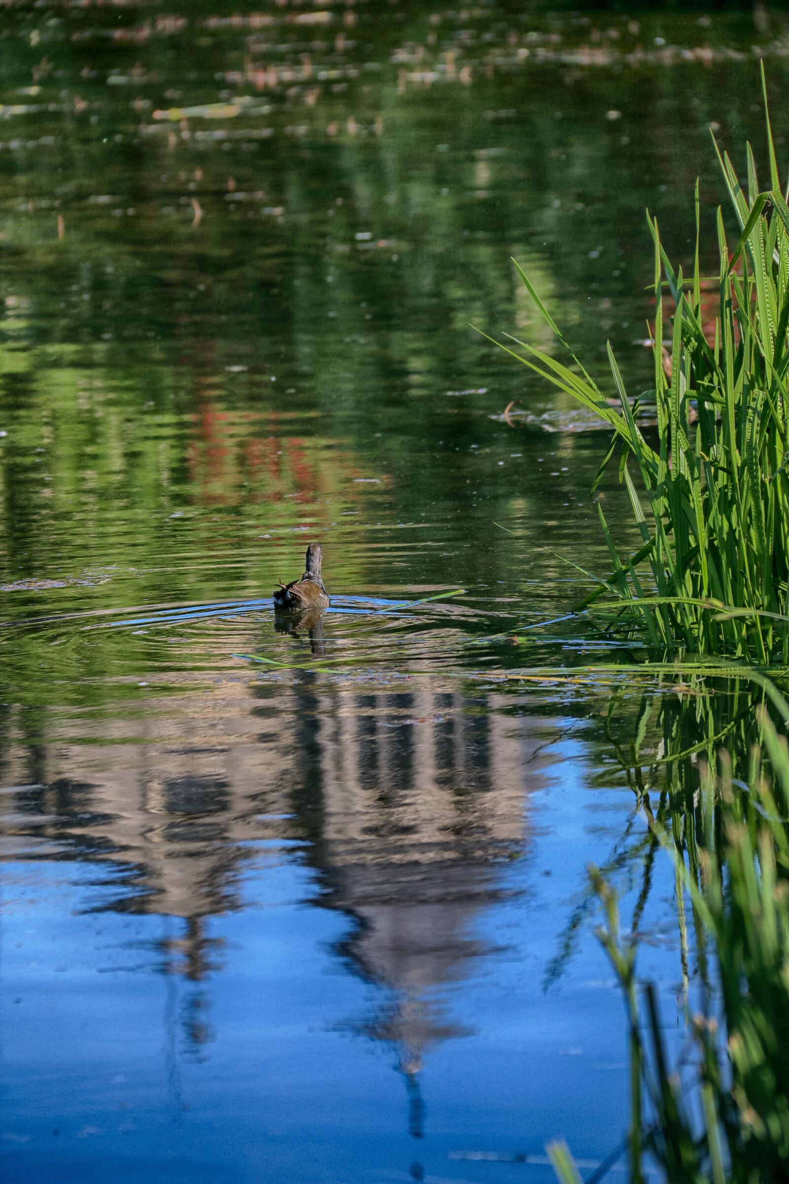 Canon EOS 70D + Canon EF-S 18-200mm F3.5-5.6 IS sample photo. Landscape, reflection, water photography