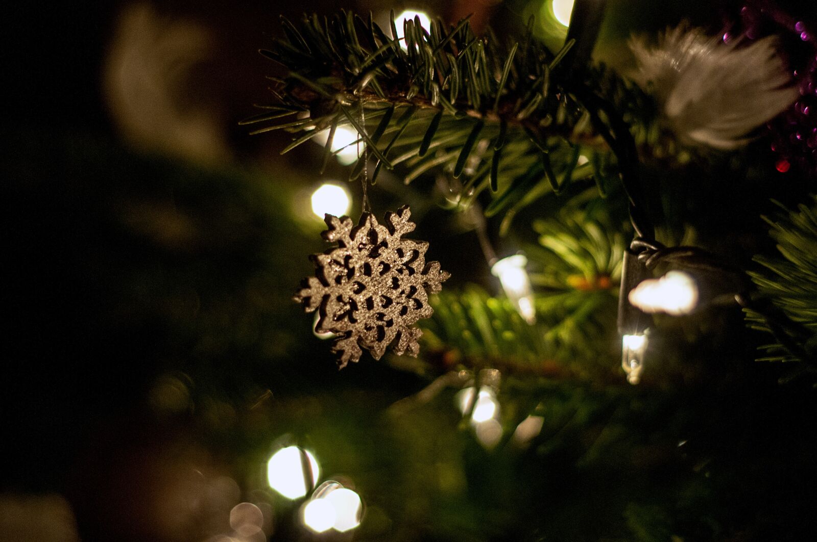 Nikon D300S sample photo. Christmas, tree, lights photography