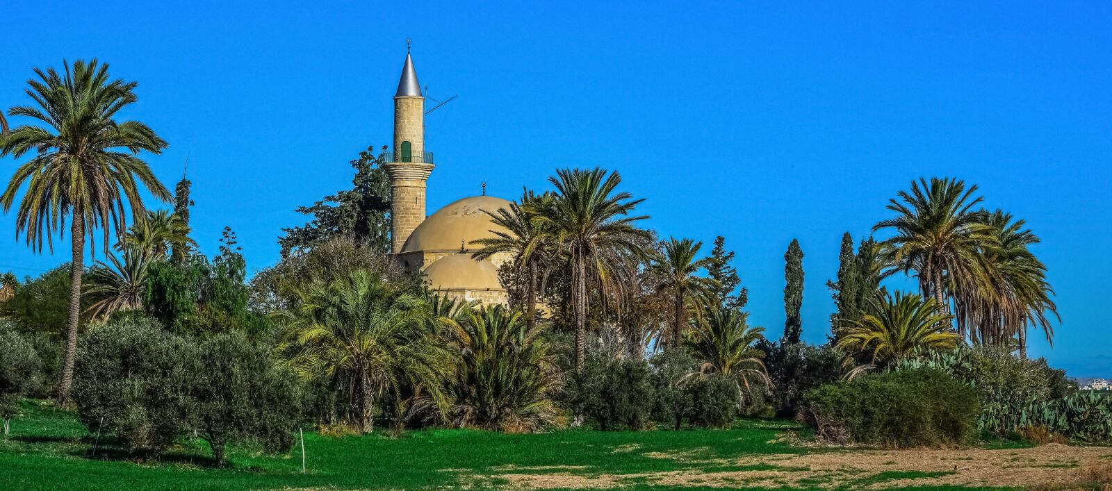 Nikon D3300 sample photo. Cyprus, larnaca, mosque photography