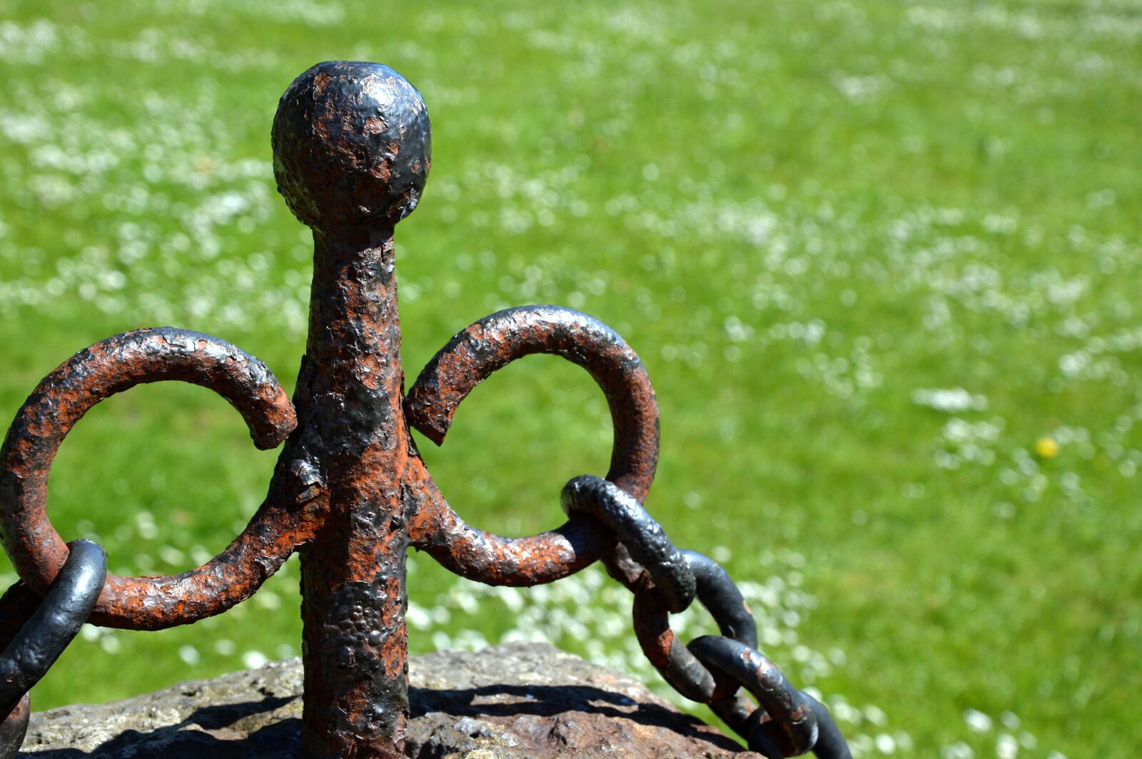 Nikon D3200 sample photo. Fence, chain, metal photography