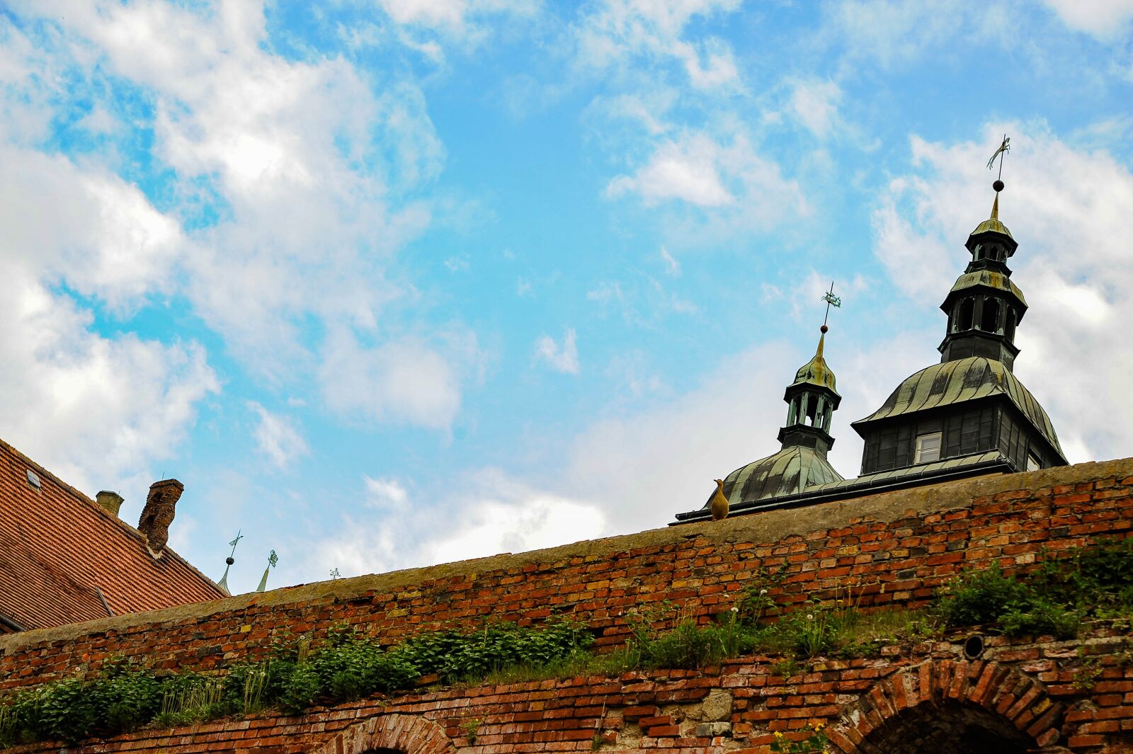 Nikon D700 sample photo. Old brick wall, castle photography